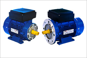 Single phase motors with various mounting adaptions.